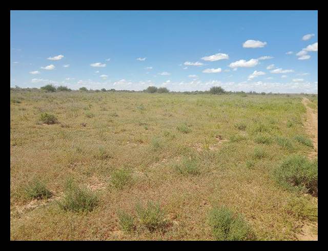 FARM FOR SALE IN KENHARDT